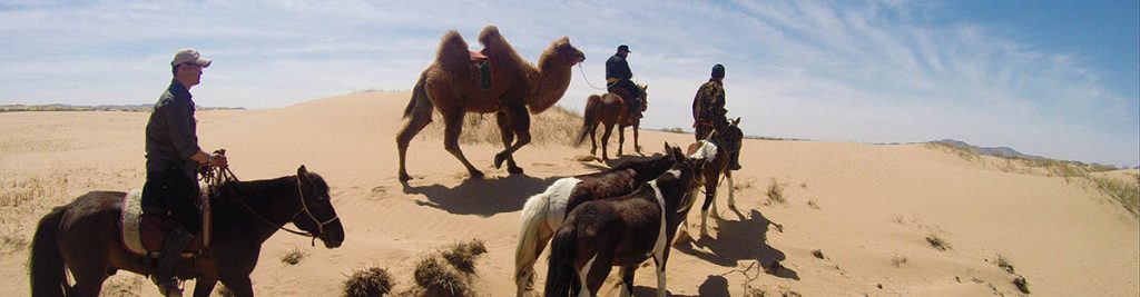 trek-chameau-mongolie