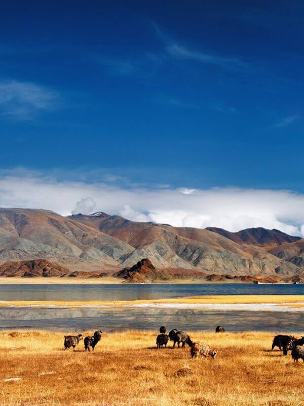 mongolie-paysage