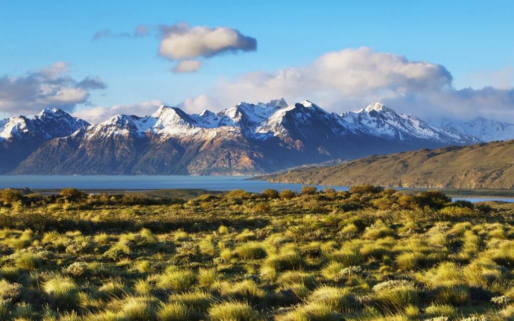 pampa-argentine