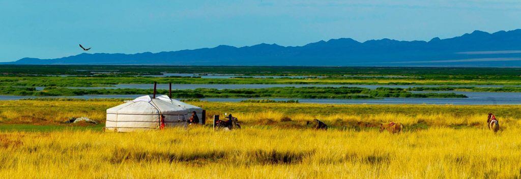 trek-cheval-mongolie