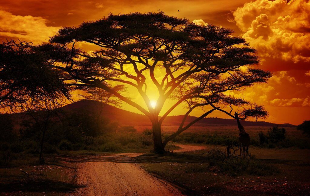 afrique-du-sud-coucher-soleil