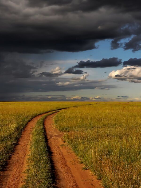 paysage kenya