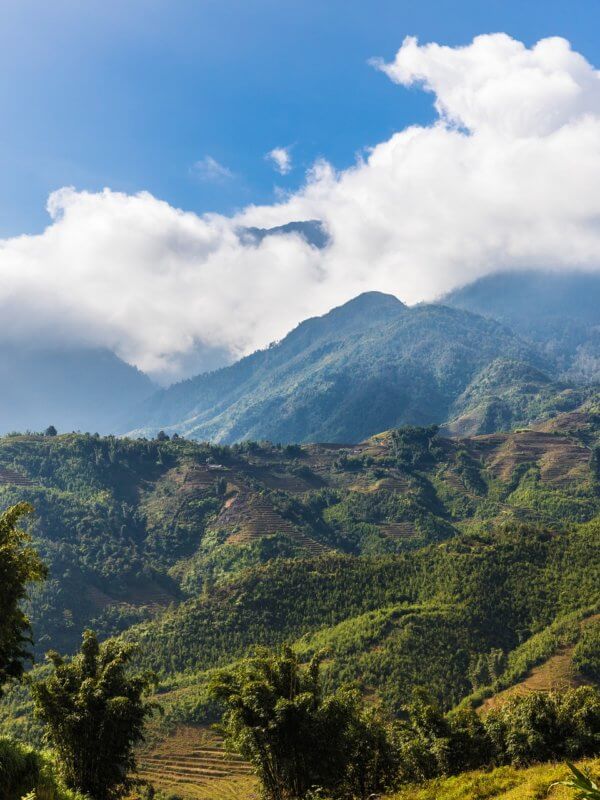 decouvrir le vietnam