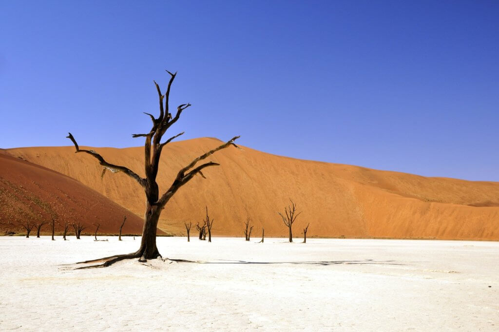 désert namibie