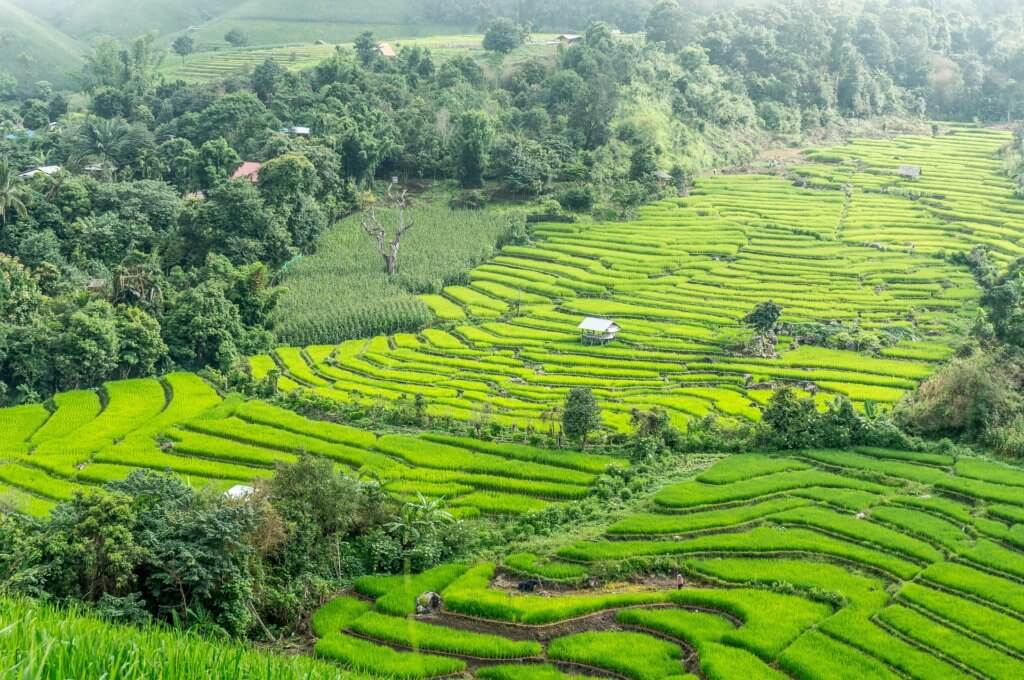 randonnées en Thaïlande