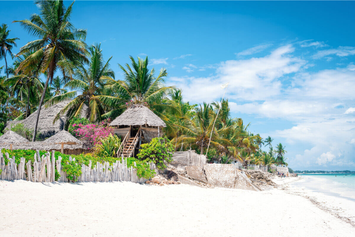Que Faire Zanzibar Retrouvez Mes 9 Activit s Pr f r es